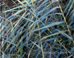 Biesbos - 20 x 16 cm ( 24 blz.)