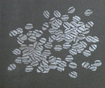steentje